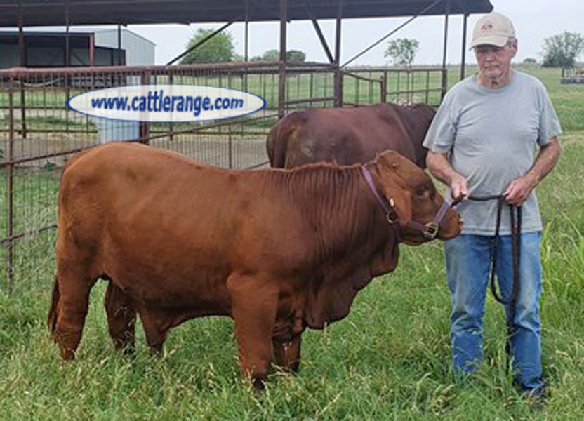 Cattle Range Listing Image