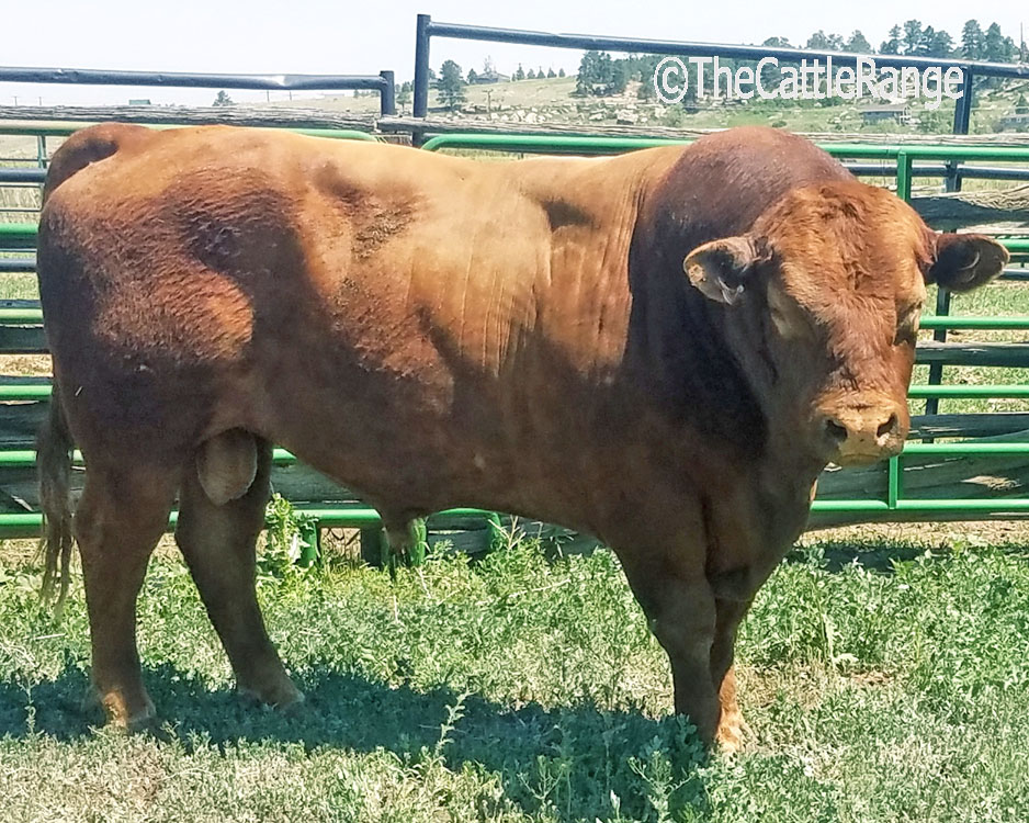 Cattle Range Listing Image