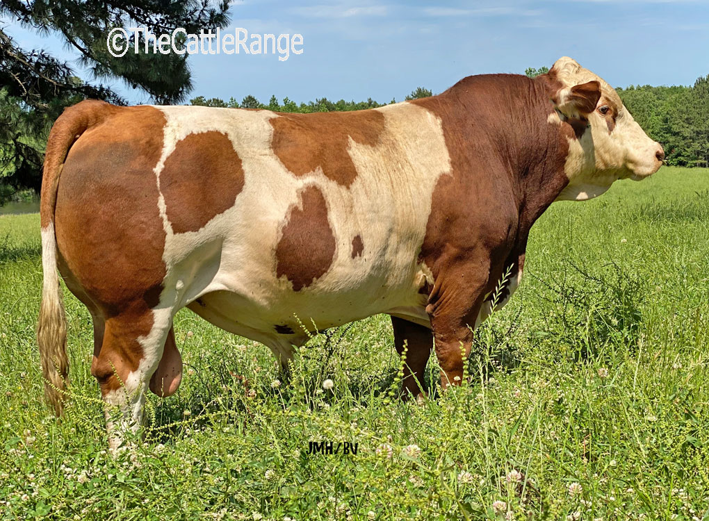 Cattle Range Listing Image