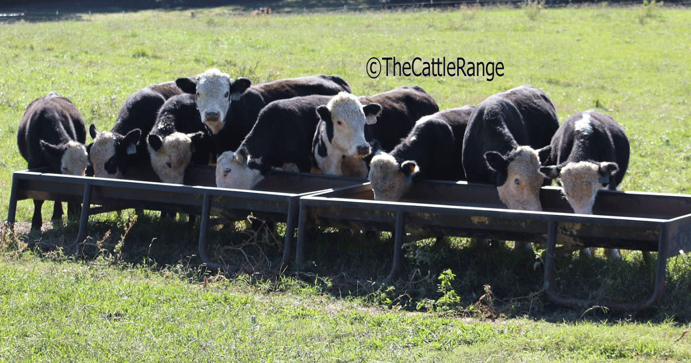 Cattle Range Listing Image