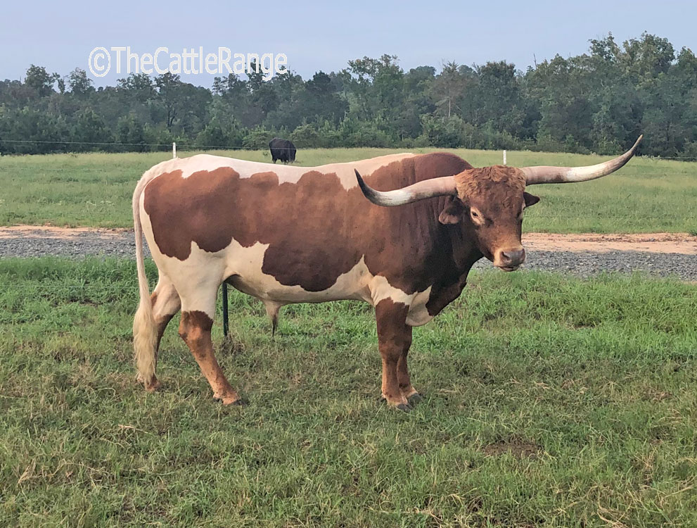 Cattle Range Listing Image
