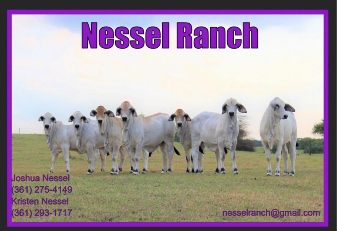 Cattle Range Listing Image