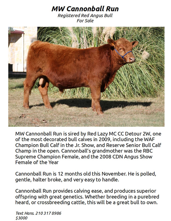 Cattle Range Listing Image