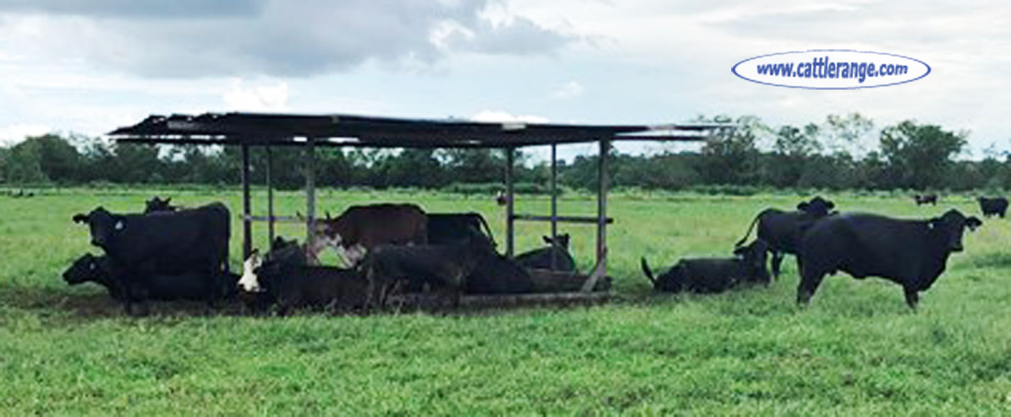 Cattle Range Listing Image
