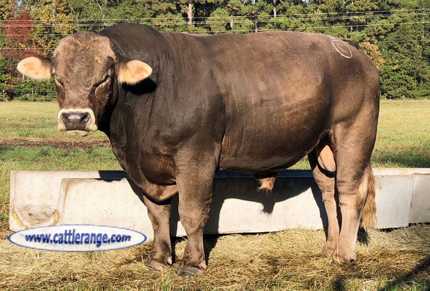 Cattle Range Listing Image
