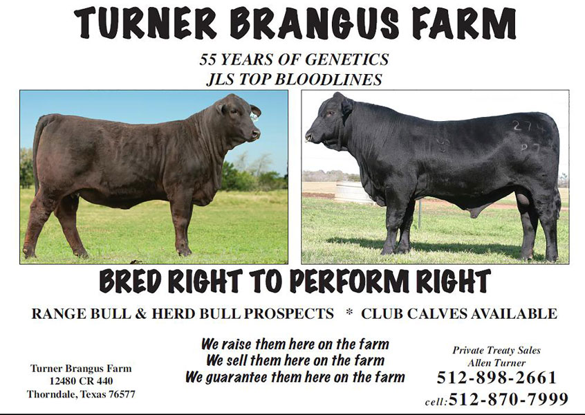 Cattle Range Listing Image