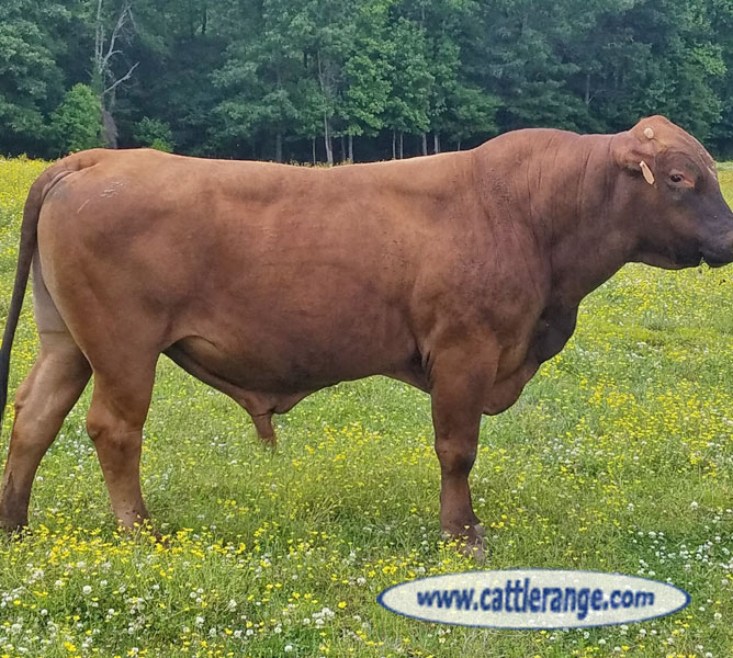 Cattle Range Listing Image