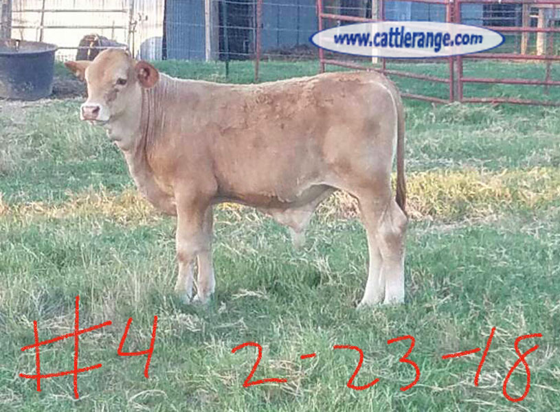 Cattle Range Listing Image
