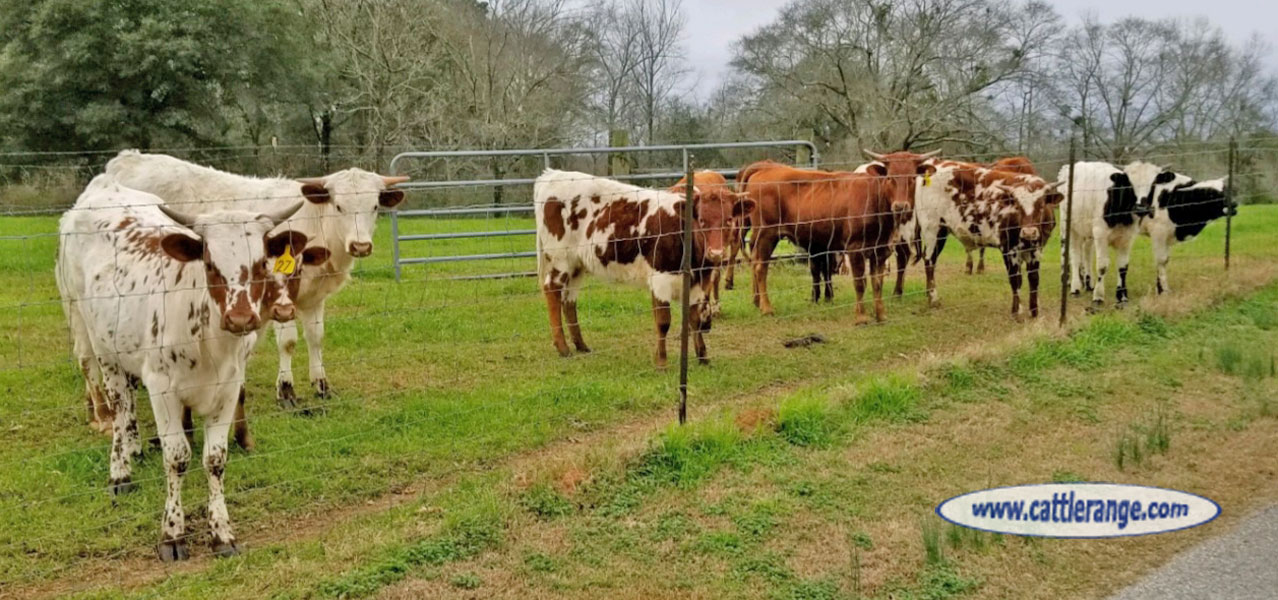 Cattle Range Listing Image