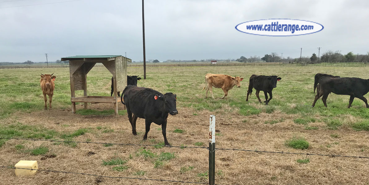 Cattle Range Listing Image