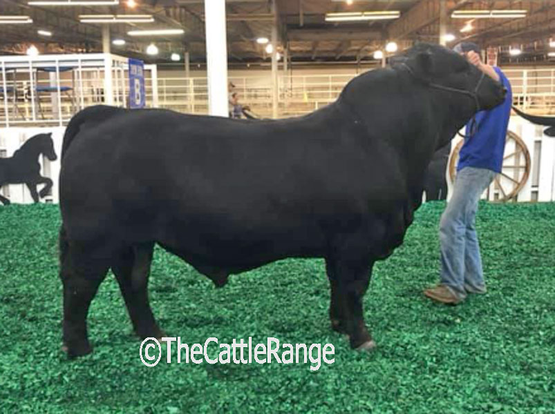 Cattle Range Listing Image