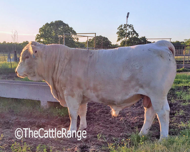 Cattle Range Listing Image