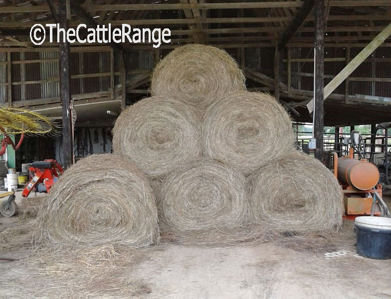 Cattle Range Classified Image