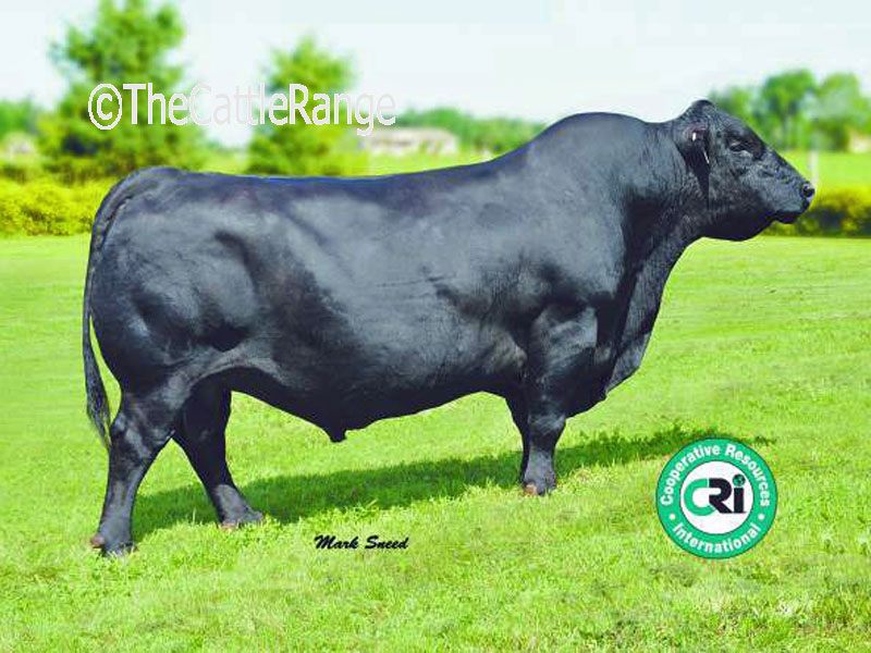 Cattle Range Listing Image