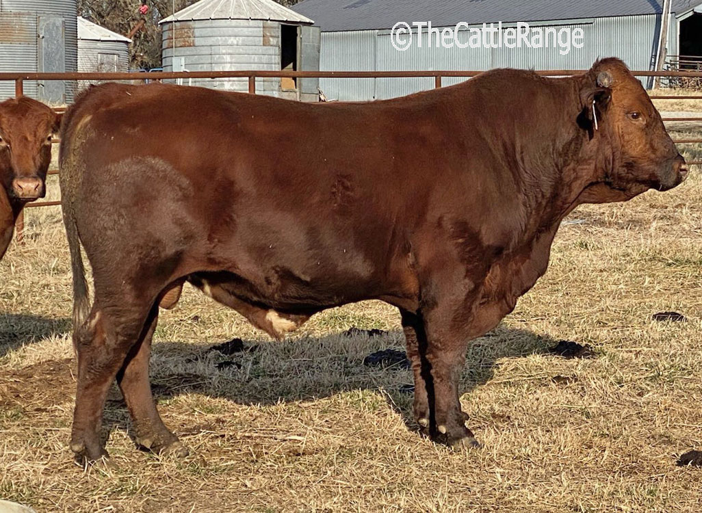 Cattle Range Listing Image