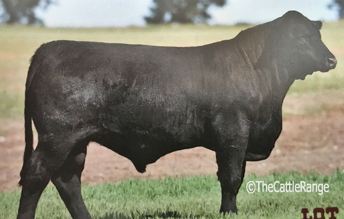 Cattle Range Listing Image