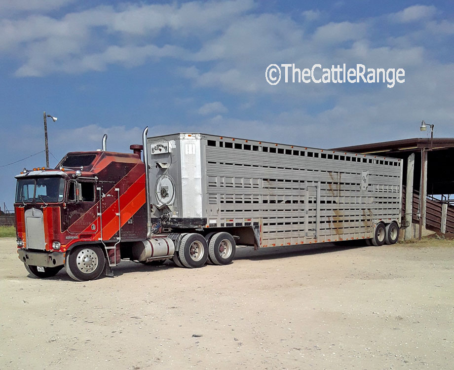 Cattle Range Classified Image