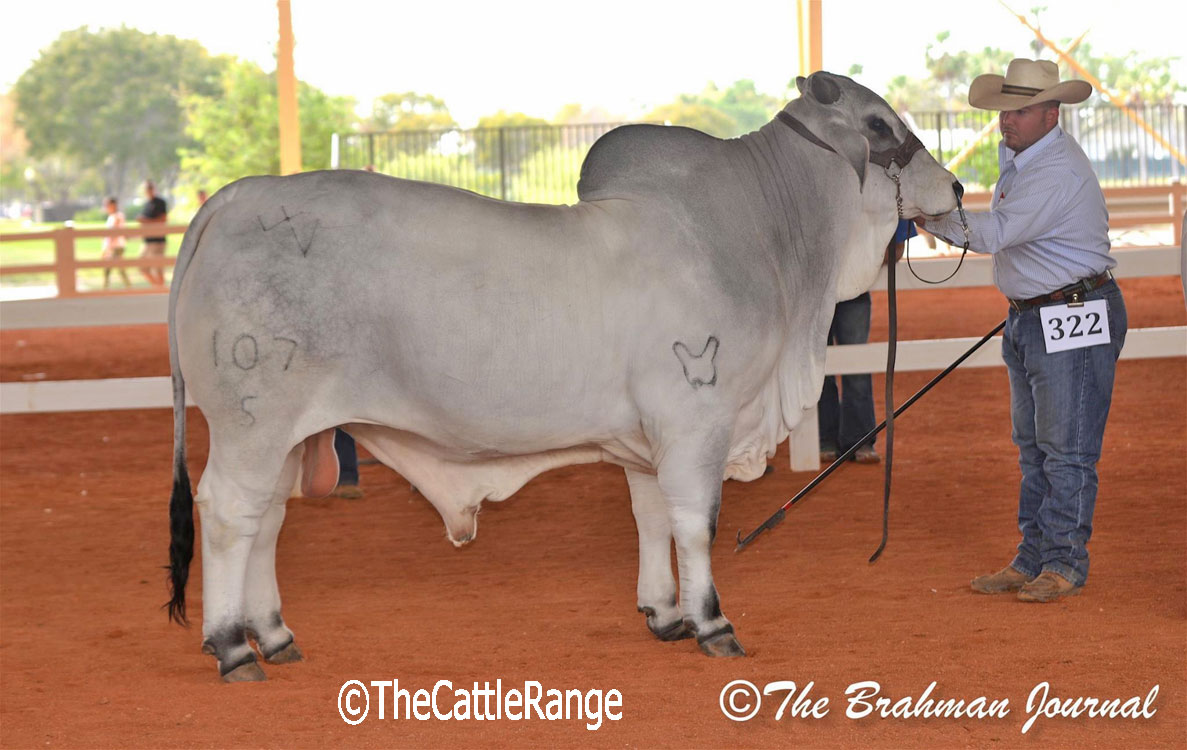 Cattle Range Listing Image